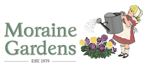 Moraine Gardens