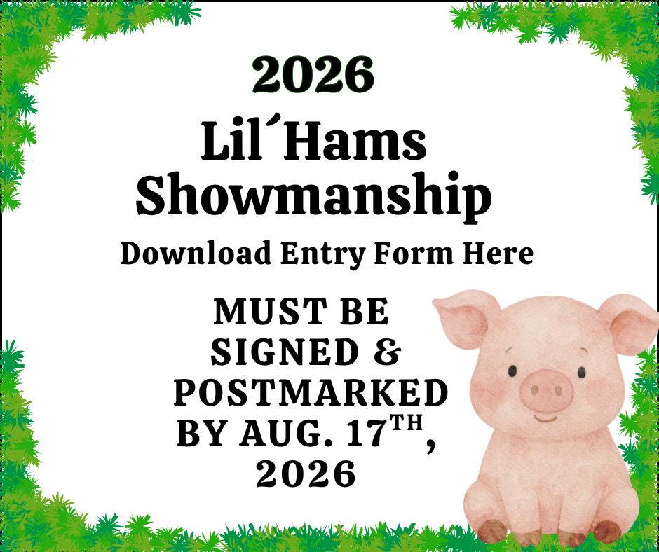 2026 Lil´Hams Showmanship